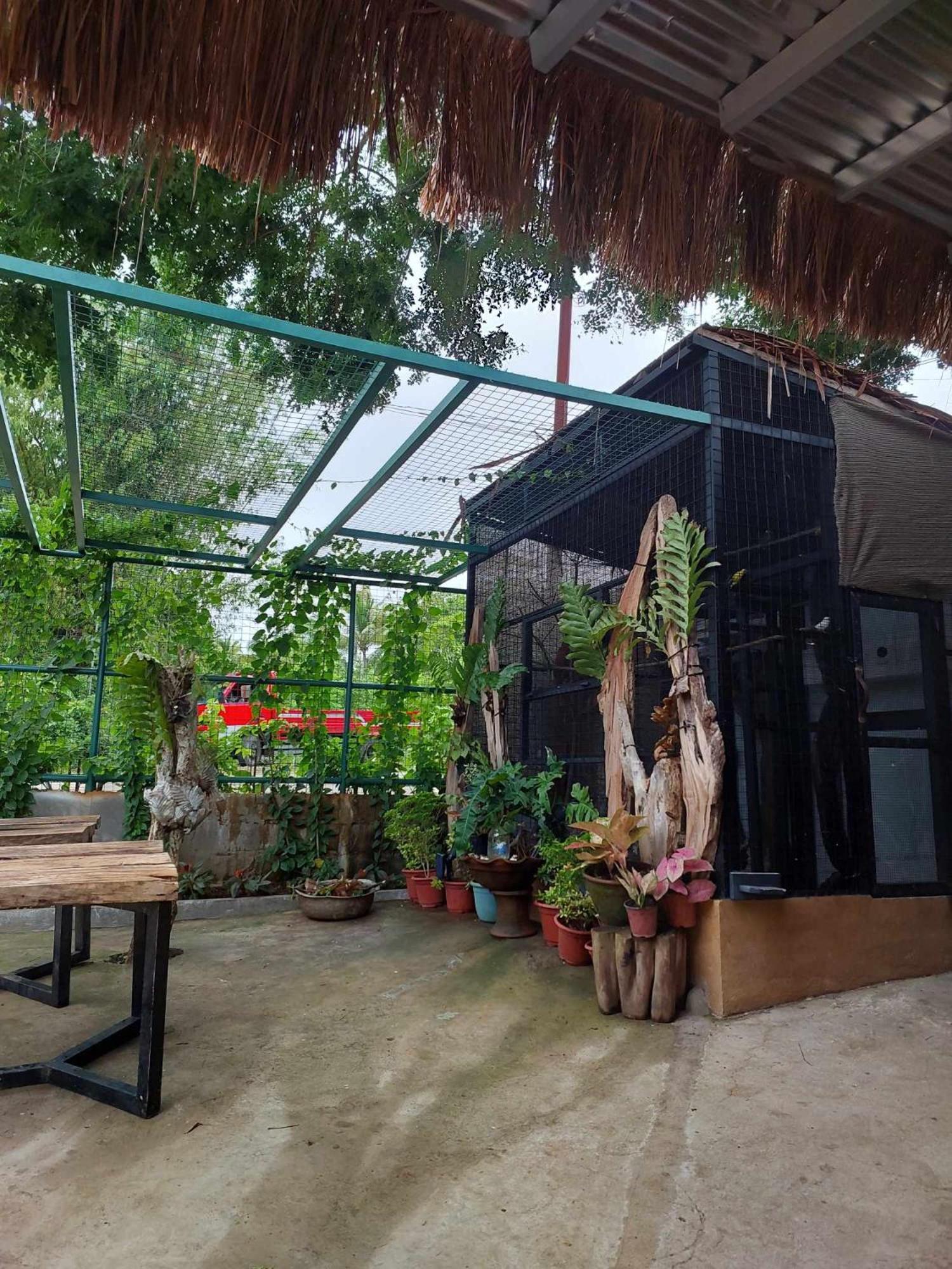 Vikings Ecolodge San Juan  Extérieur photo